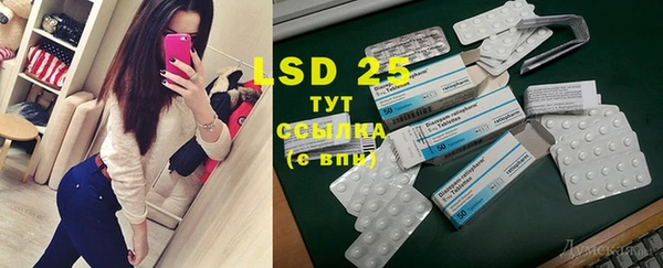ECSTASY Богородицк