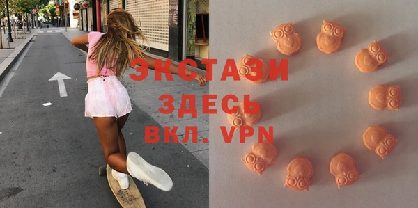 ECSTASY Богородицк