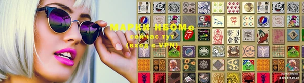 ECSTASY Богородицк