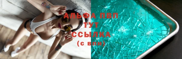 ECSTASY Богородицк